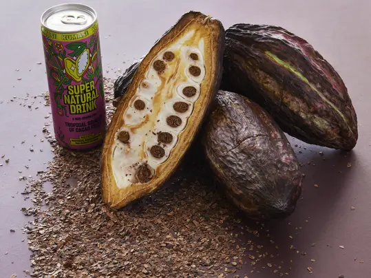 Cocoa shells and Kumasi collaboration